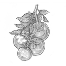 Engraving style hatching pen pencil painting illustration vegetables tomato collage image. Engrave hatch lithography drawing collection.